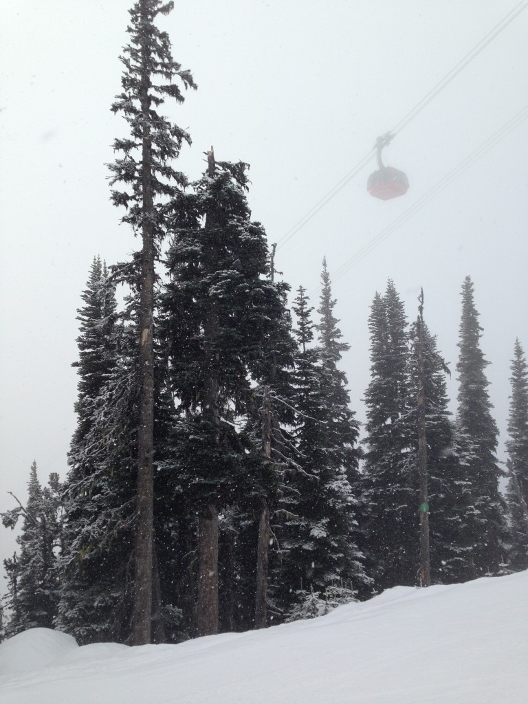 The gondola up Blackcomb by Anneleigh Jacobsen